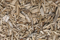 biomass boilers Trevalyn
