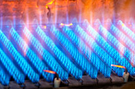 Trevalyn gas fired boilers